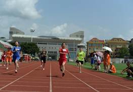 clip_image014.jpg Picture 20121116